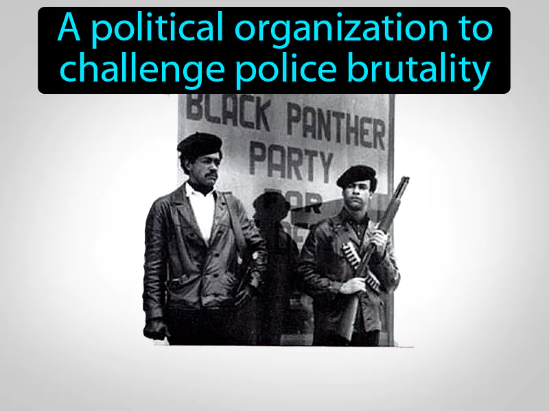 Black Panthers Definition