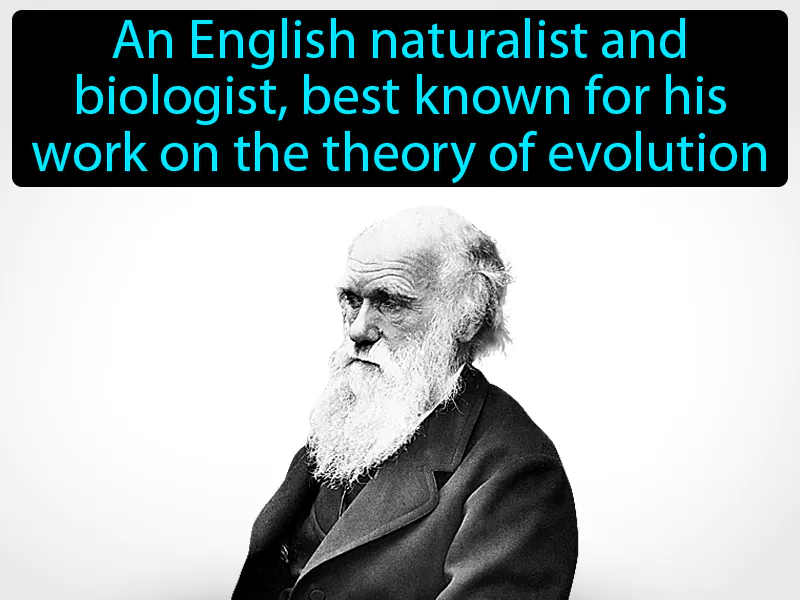 Charles Darwin Definition