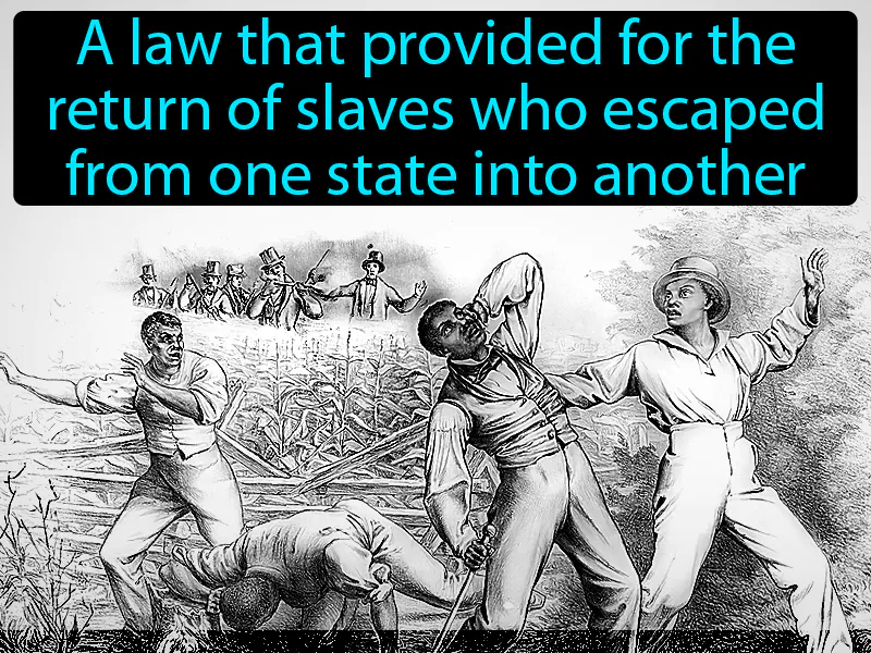 Fugitive Slave Law Definition