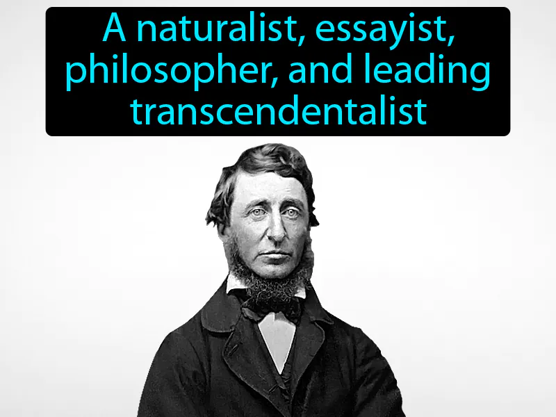 Henry David Thoreau Definition