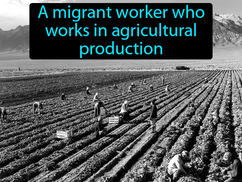 Migrant farmworker Definition