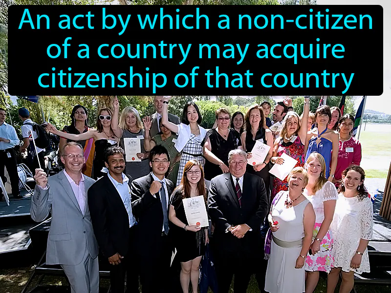 Naturalized Citizens Definition