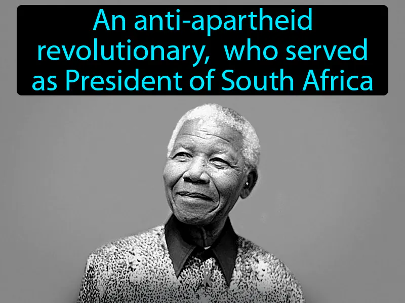 Nelson Mandela Definition