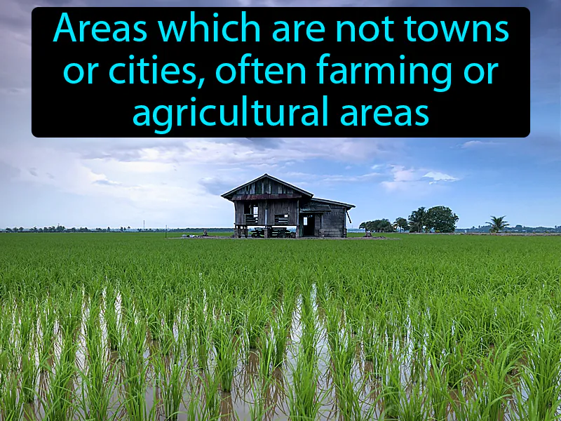 Rural Definition