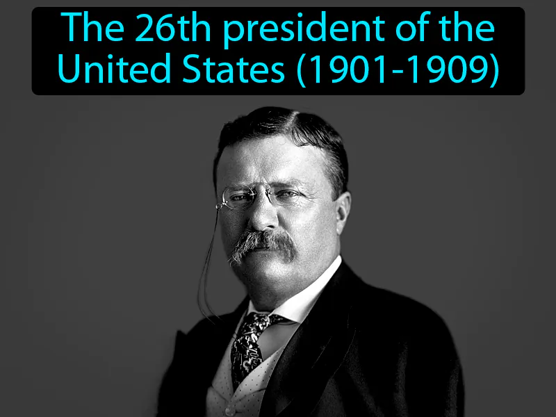 Theodore Roosevelt Definition
