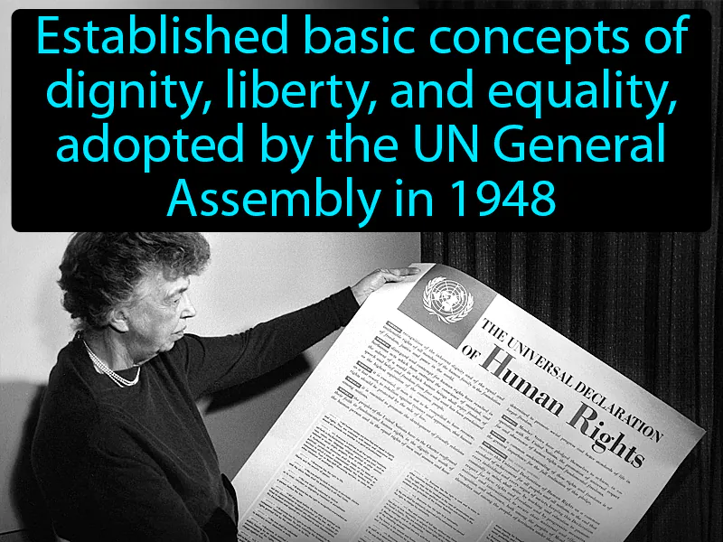 Universal Declaration of Human Rights Definition