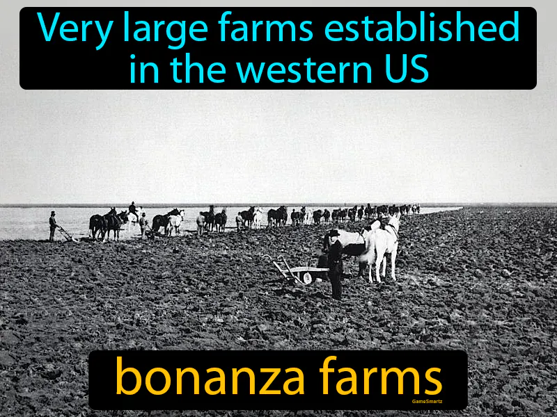 Bonanza farms Definition