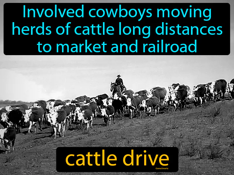 Cattle drive Definition