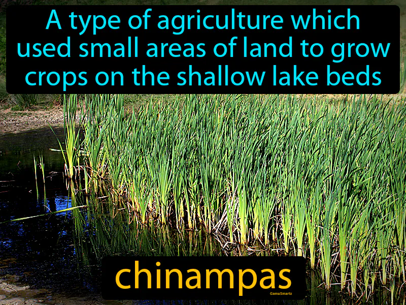 Chinampas Definition