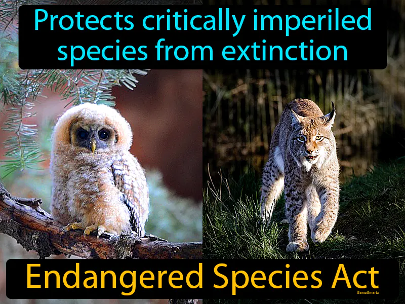 Endangered Species Act Definition