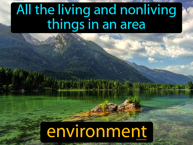 Environment Definition