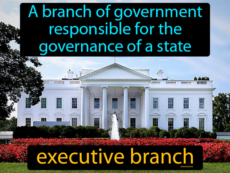 Executive branch Definition