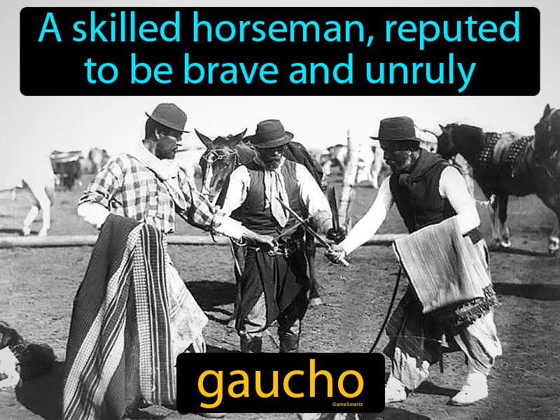 Gaucho Definition