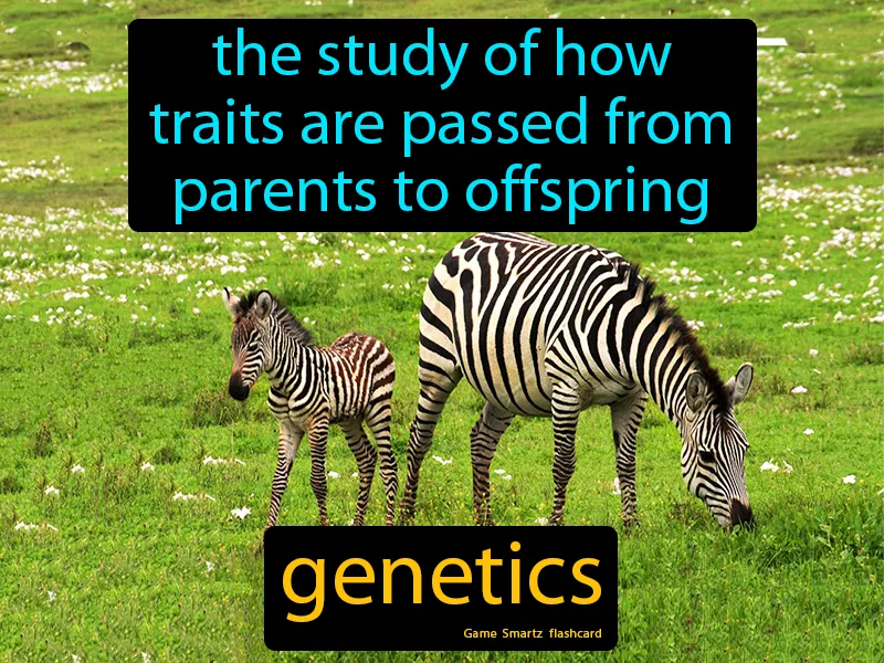 Genetics Definition