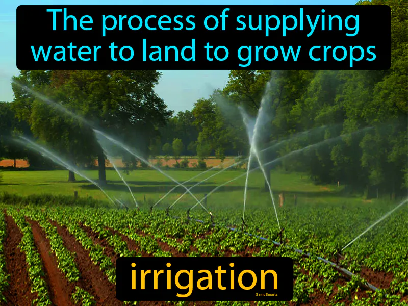 Irrigation Definition