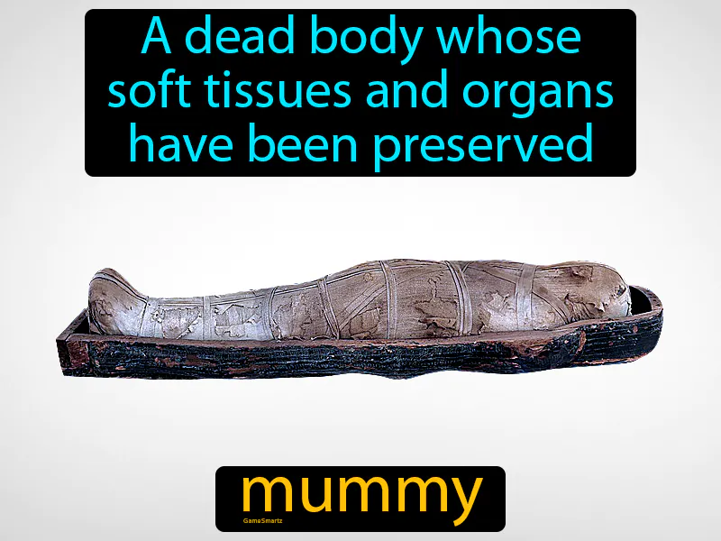 Mummy Definition
