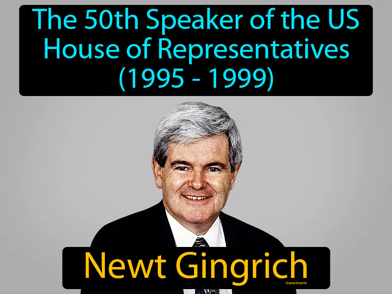 Newt Gingrich Definition