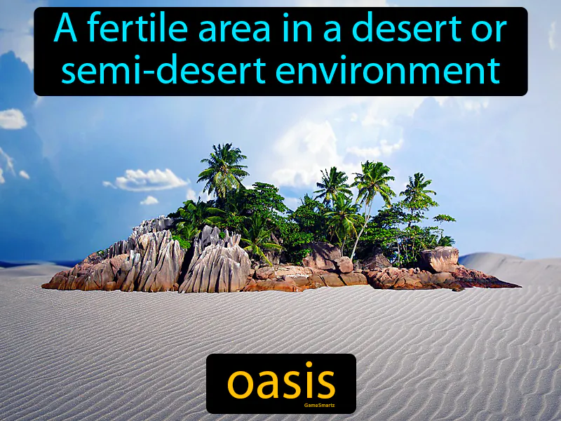 Oasis Definition