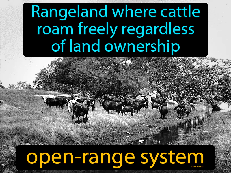 Open range system Definition
