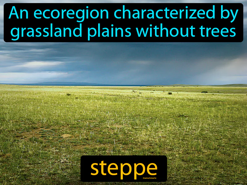 Steppe Definition