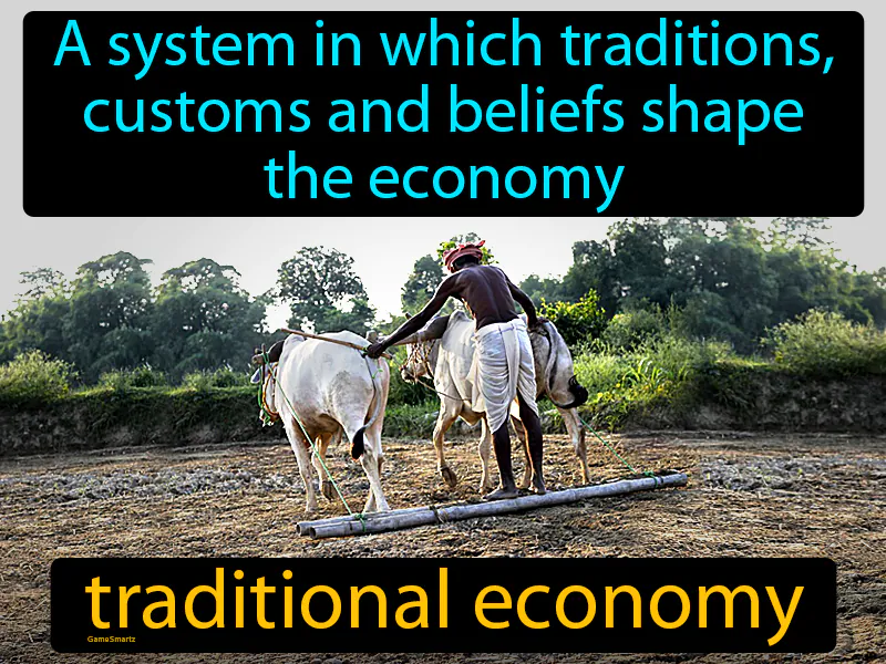 Traditional economy Definition