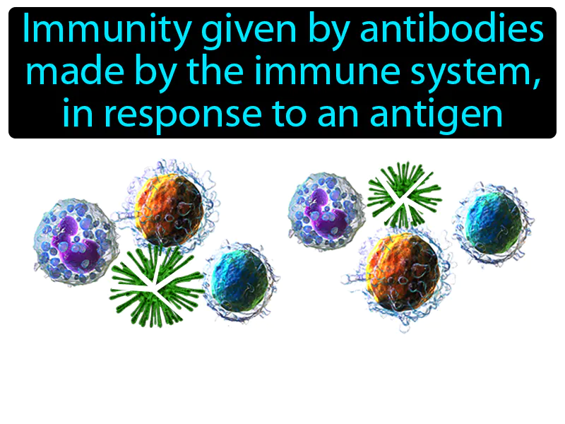 Active immunity Definition