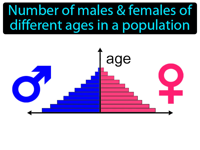 Age structure Definition