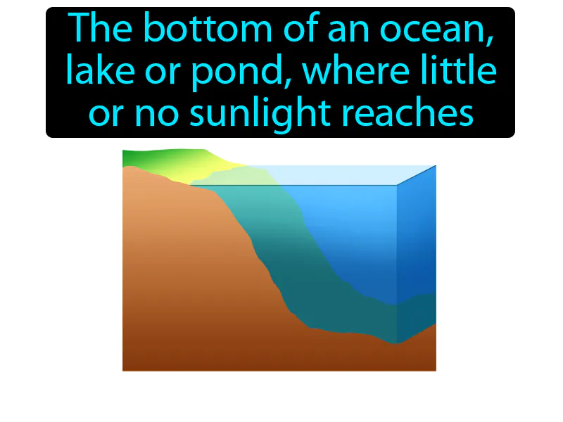 Benthic Zone Definition