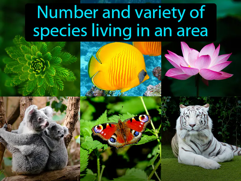 Biodiversity Definition