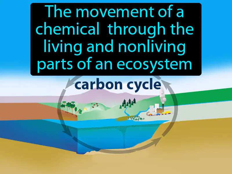Biogeochemical cycle Definition