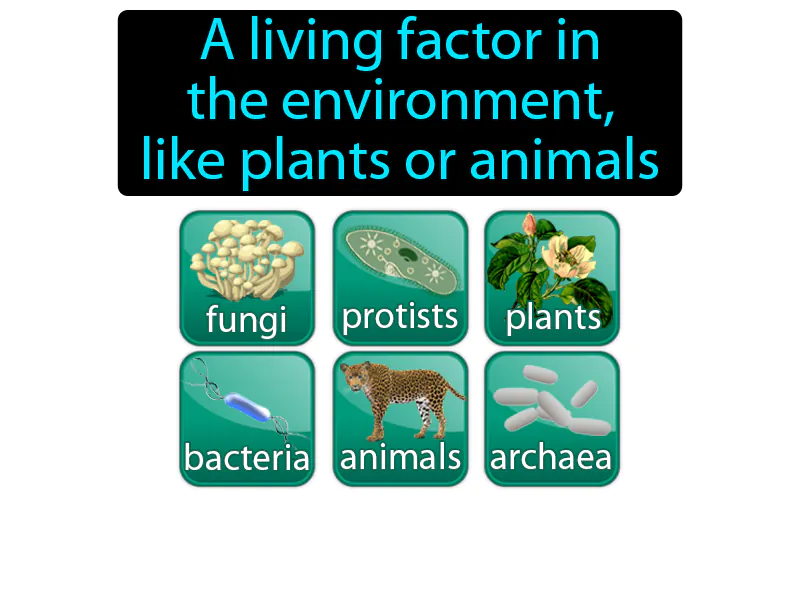 Biotic factor Definition