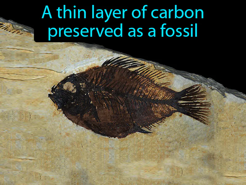 Carbon film Definition