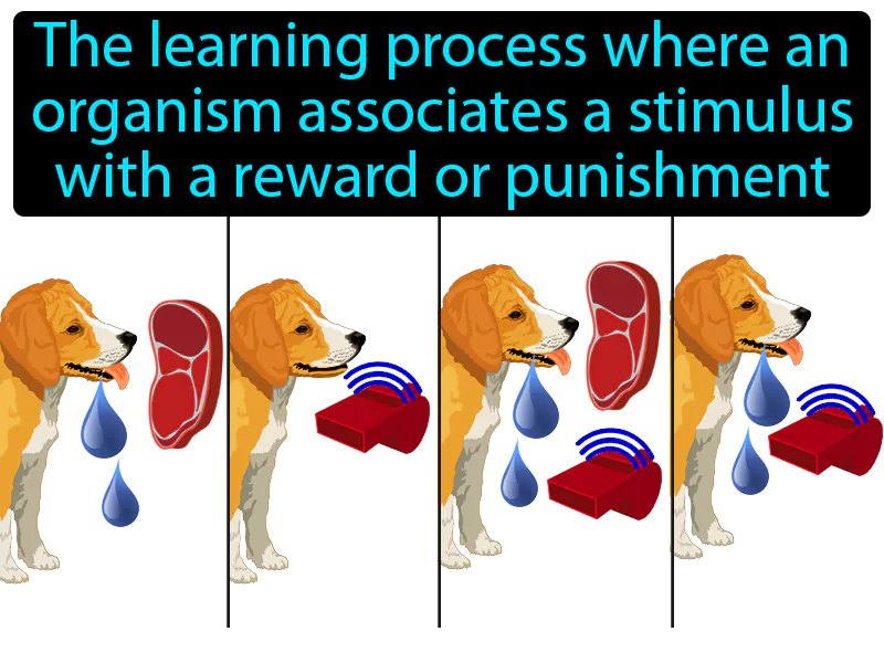 Classical conditioning Definition