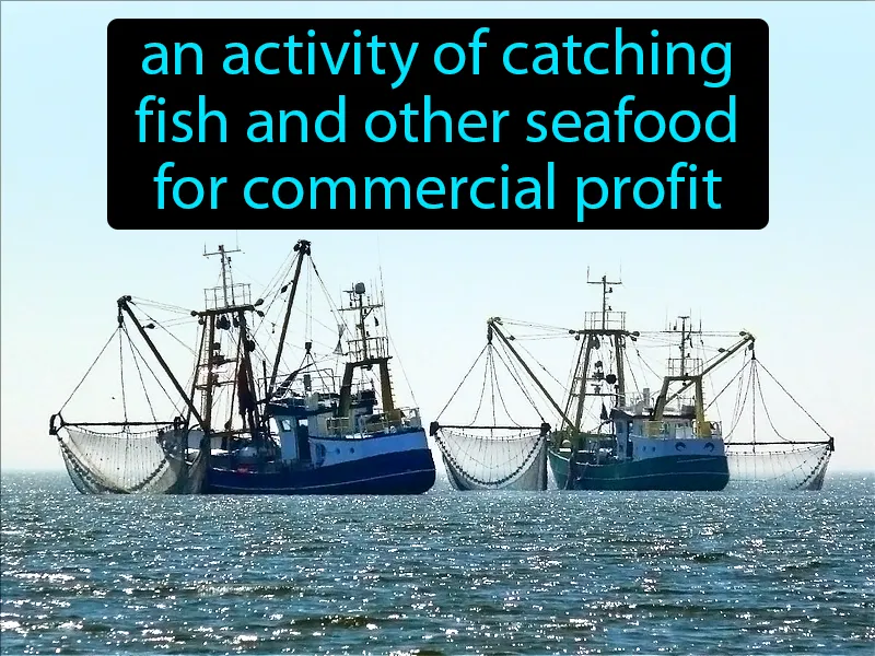 Commercial fishery Definition