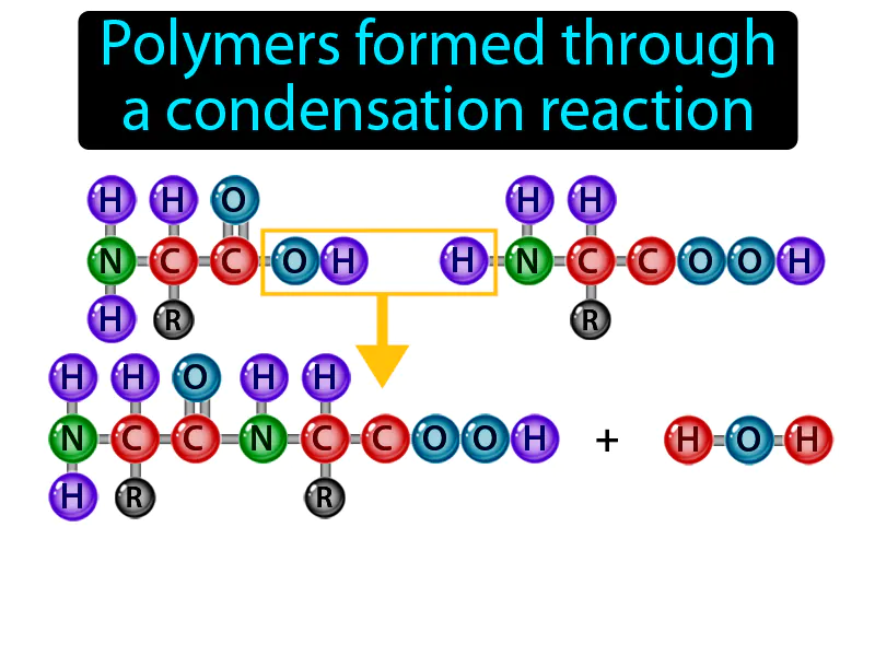 Condensation polymerization Definition