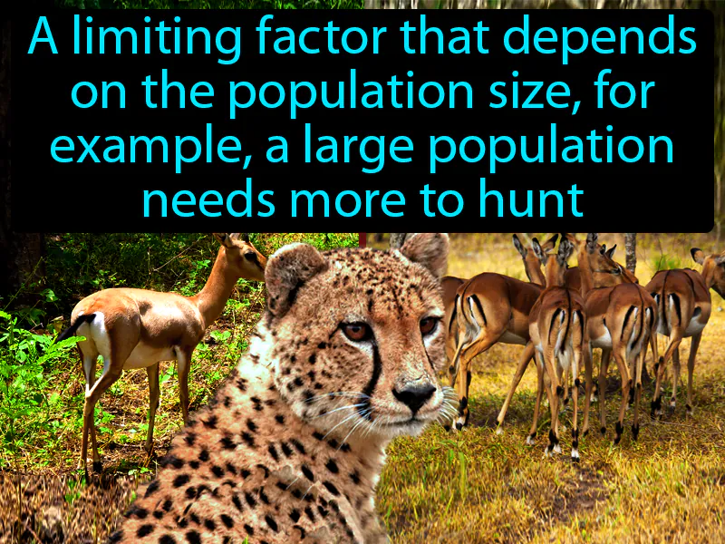 Density dependent factor Definition