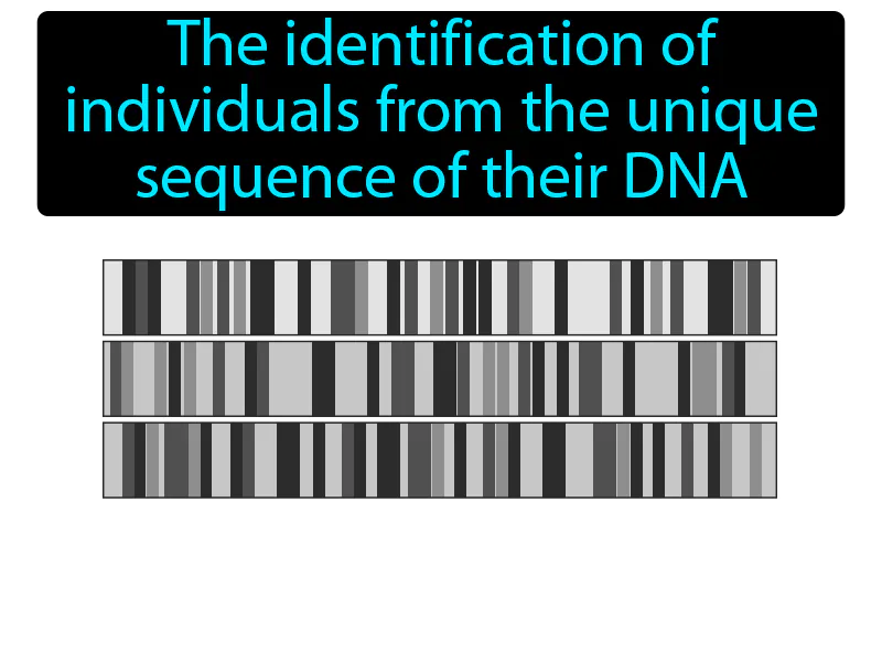 DNA fingerprinting Definition