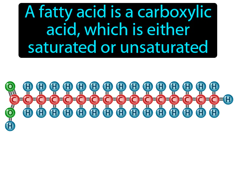 Fatty acid Definition
