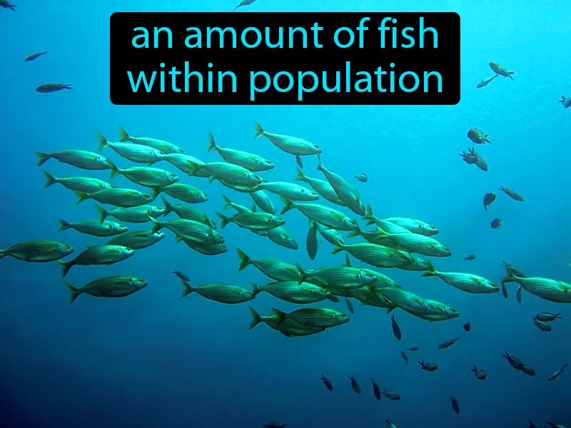 Fish stock Definition