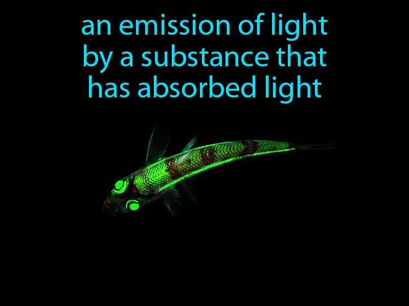 Fluorescence Definition