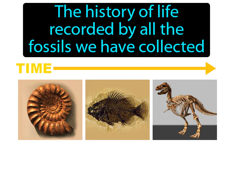 Fossil record Definition