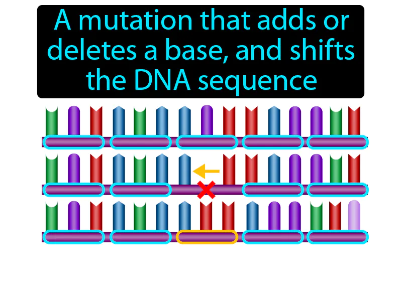 Frameshift mutation Definition