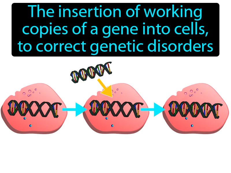 Gene therapy Definition
