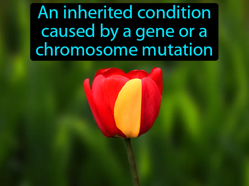 Genetic disorder Definition