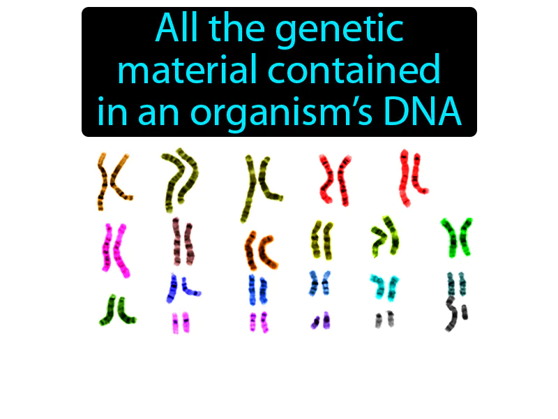 Genome Definition