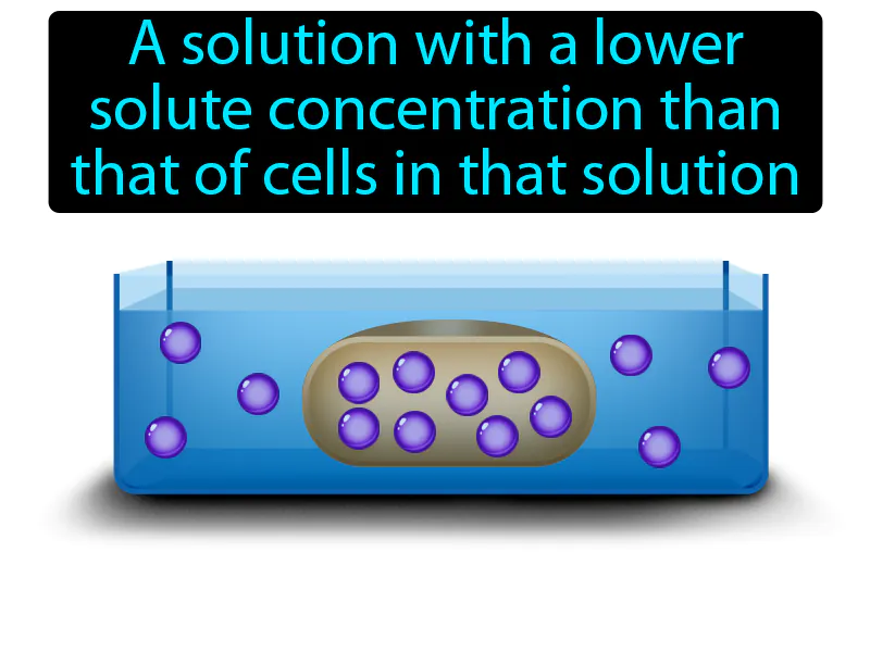 Hypotonic solution Definition