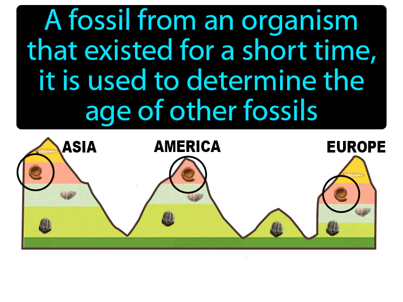 Index fossil Definition