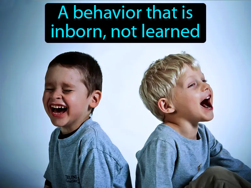 Inherited behavior Definition