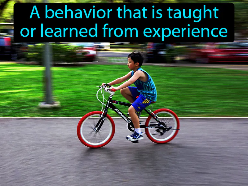 Learned Behavior Definition