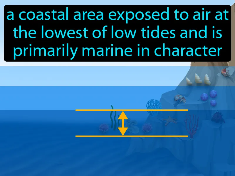 Low-intertidal zone Definition